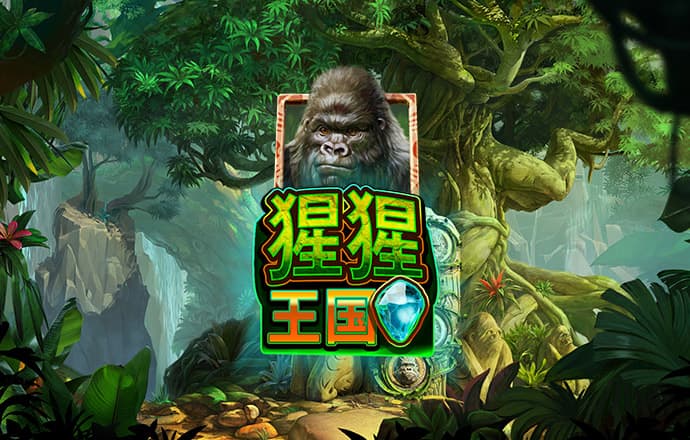 智博体育登录入口